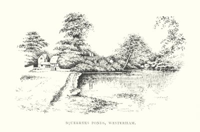 Squerryes Ponds, Westerham (litografie) od Duncan Moul