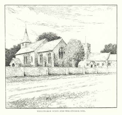 Willingale Spain a Willingale Doe (litografie) od Duncan Moul