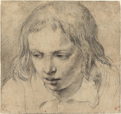 Hlava mladého muže [recto] od Dutch 17th Century