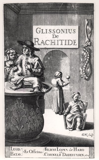 Francis Glisson (1597-1677) publikoval v Leidenu, 1671 od Dutch School