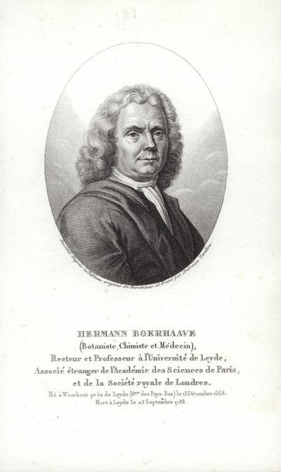 Herman Boerhaave od Dutch School