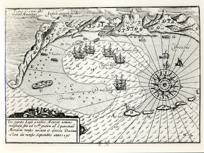 Příjezd viceadmirála Wybrandta Van Warwijcks Flotilla do jihovýchodního přístavu Mauritius v září 1598 od Dutch School