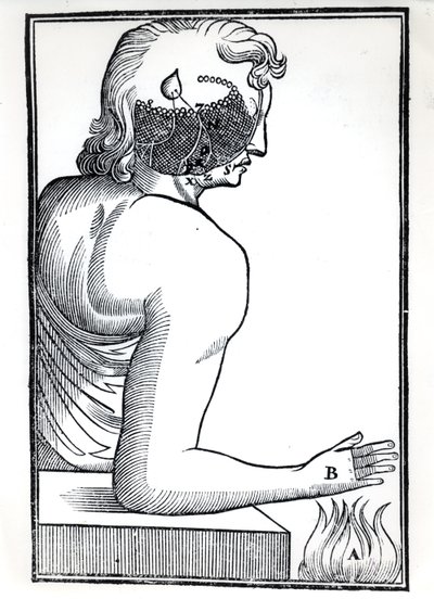 Vnímání smyslů, z De Homine Figuris od René Descartese (1596-1650), vydané v Amsterdamu, 1677 od Dutch School
