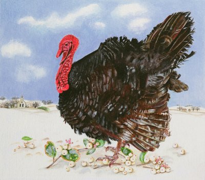 Černý krůta se sněhovými plody, 1996 (akryl na papíře) od E.B. Watts