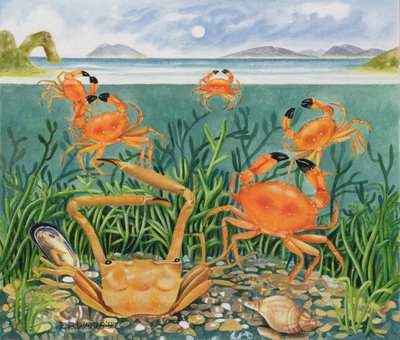Krabi v oceánu, 1997 (akryl na papíře) od E.B. Watts