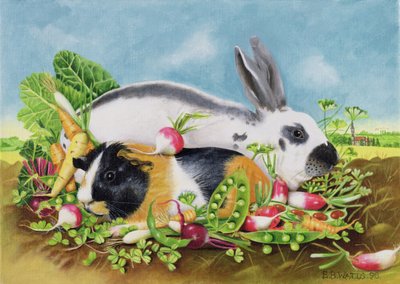 Králík a morče, 1998 (akryl na plátně) od E.B. Watts