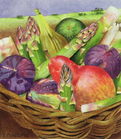 Červená hruška s fíky a chřestem, 1996 (akryl na papíře) od E.B. Watts