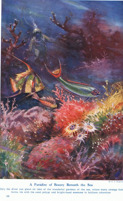 Ráj krásy pod mořem, ilustrace z 