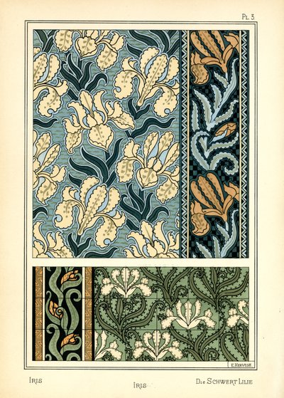 Iris od E. Hervegh
