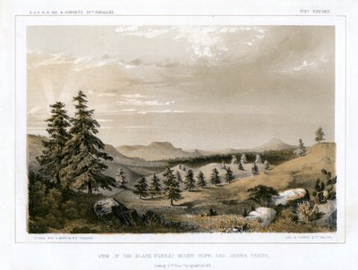 Černý les Mount Hope a Sierra Prieta, USA, 1856. od E Stout