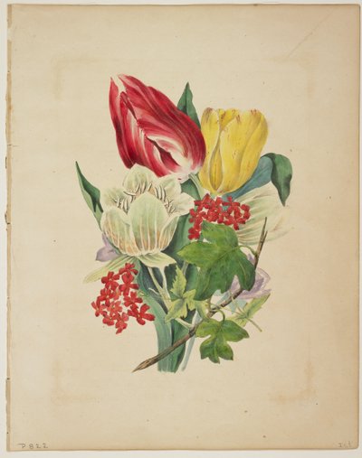 Kytice tulipánů, z Flora