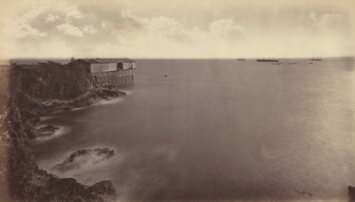 Acajutla, 1877. od Eadweard Muybridge