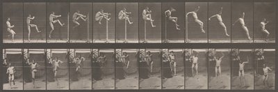 Pohyb zvířat. Elektrofotografické zkoumání po sobě jdoucích fází zvířete ..., 80. léta 19. století. od Eadweard Muybridge