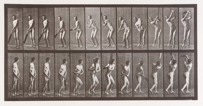 Pohyb zvířat. Elektrofotografické zkoumání po sobě jdoucích fází zvířete ..., 80. léta 19. století. od Eadweard Muybridge