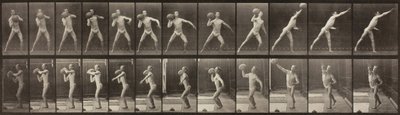 Animal Locomotion, Talíř 319, 1887. od Eadweard Muybridge