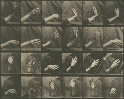 Animal Locomotion, Plate 535, 1887. od Eadweard Muybridge