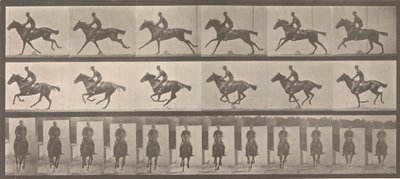 [Kůň a jezdec cválající], 1883-86, vytištěno 1887. od Eadweard Muybridge