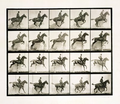 Muž a kůň skákají přes plot, 1887 od Eadweard Muybridge