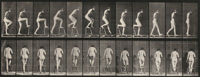 Číslo talíře 180. Stoupání na židli a přes ni, 1887. od Eadweard Muybridge