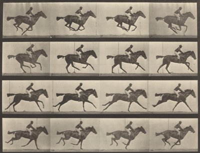 Číslo desky 626. Cval, plnokrevná klisna hnědáka, Annie G., 1887. od Eadweard Muybridge