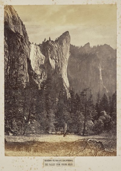 Yo-Sem-i-te Valley, Kalifornie. Údolí z Pohono Meadows od Eadweard J. Muybridge
