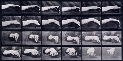 Pohybová studie ruky, c.1872-1885 od Eadweard Muybridge