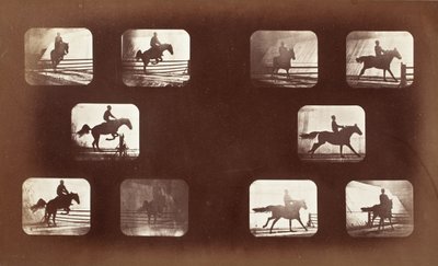 Pohyb zvířat (muž na koni přes překážky) od Eadweard Muybridge