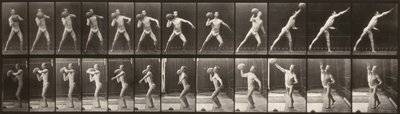 Pohyb zvířat (deska 319) (Muž házející míč) od Eadweard Muybridge