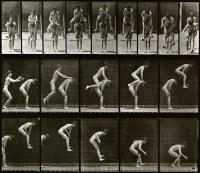  od Eadweard Muybridge
