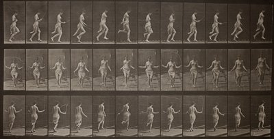 Pohyb zvířat, deska 174 od Eadweard Muybridge