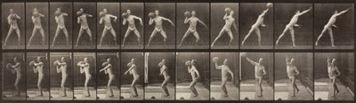 Animal Locomotion, Talíř 319, 1887 od Eadweard Muybridge