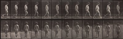 Animal Locomotion, talíř 467 od Eadweard Muybridge