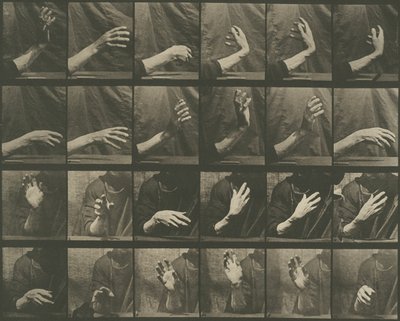 Pohyb zvířat, deska 535 od Eadweard Muybridge