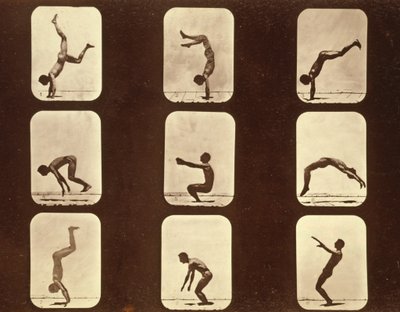 Závěsný od Eadweard Muybridge