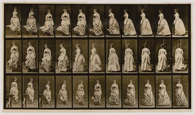 Sestupování ze schodů a otáčení, z knihy Pohyb zvířat od Eadweard Muybridge