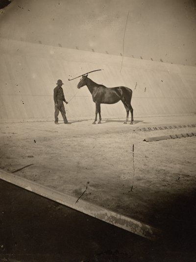 Detail dráhy na koňské farmě Lelanda Stanforda v Palo Altu, 1878-1879 (foto) od Eadweard Muybridge