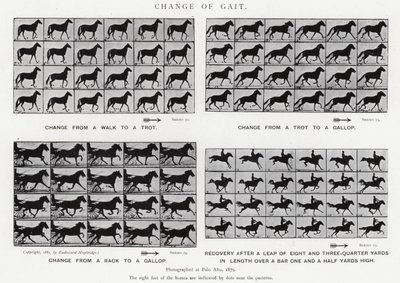Eadweard Muybridge: Změna chůze (č/b foto) od Eadweard Muybridge