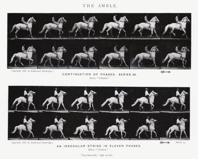 Eadweard Muybridge: The Amble (černobílá fotografie) od Eadweard Muybridge