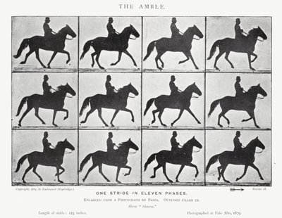 Eadweard Muybridge: The Amble (černobílá fotografie) od Eadweard Muybridge