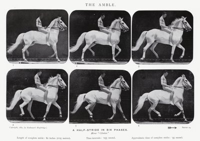 Eadweard Muybridge: The Amble od Eadweard Muybridge