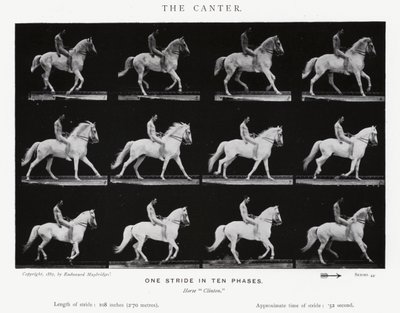 Eadweard Muybridge: The Canter (černobílá fotografie) od Eadweard Muybridge