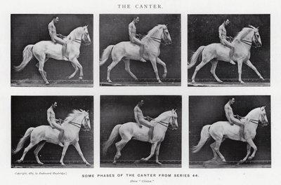 Eadweard Muybridge: The Canter (černobílá fotografie) od Eadweard Muybridge