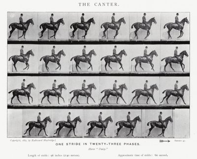 Eadweard Muybridge: The Canter od Eadweard Muybridge