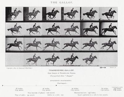 Eadweard Muybridge: The Gallop (černobílá fotografie) od Eadweard Muybridge