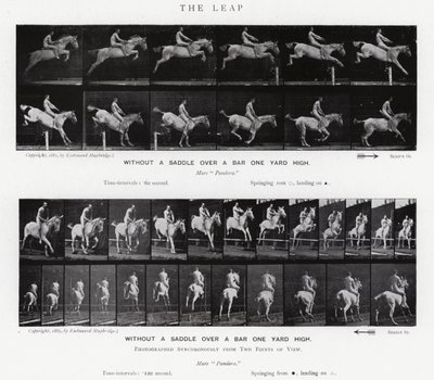 Eadweard Muybridge: The Leap (černobílá fotografie) od Eadweard Muybridge