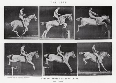 Eadweard Muybridge: The Leap (černobílá fotografie) od Eadweard Muybridge