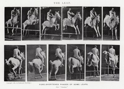 Eadweard Muybridge: The Leap (černobílá fotografie) od Eadweard Muybridge
