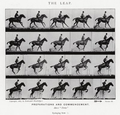Eadweard Muybridge: The Leap (černobílá fotografie) od Eadweard Muybridge