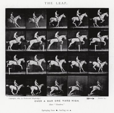 Eadweard Muybridge: The Leap (černobílá fotografie) od Eadweard Muybridge