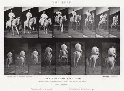 Eadweard Muybridge: The Leap (černobílá fotografie) od Eadweard Muybridge